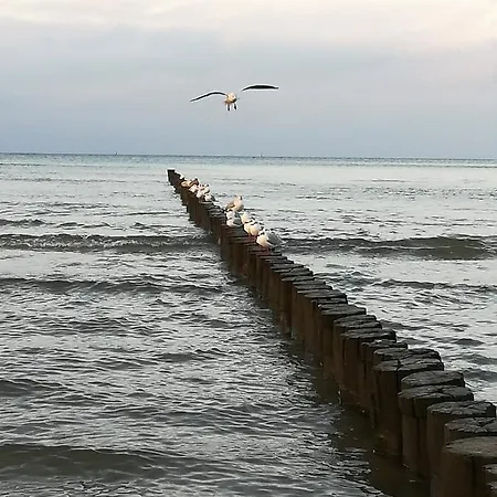 בית נופש In Der Hansestadt Mit Blick Auf Ostsee Wißmar