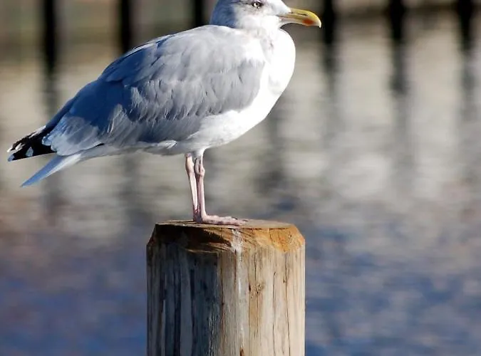 In Der Hansestadt Mit Blick Auf Ostsee Casa de Férias *